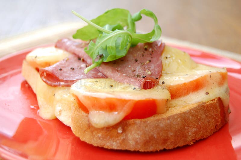 Sanduíche de queijo derretido imagens de stock