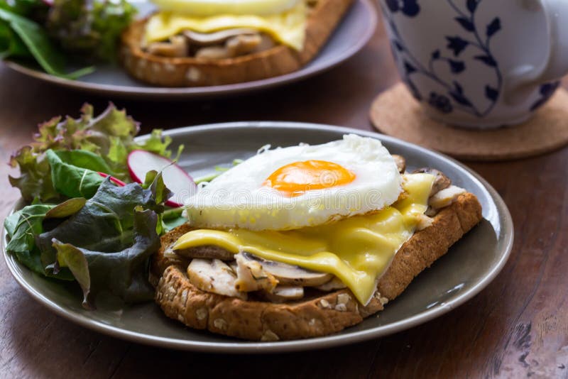 Sandwich dans le plat blanc images stock Sandwich dans le plat blanc images stock