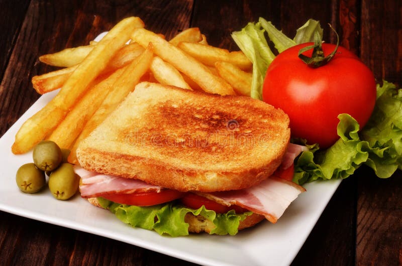 Sandwich with french fries stock image. Image of healthy 86517521
