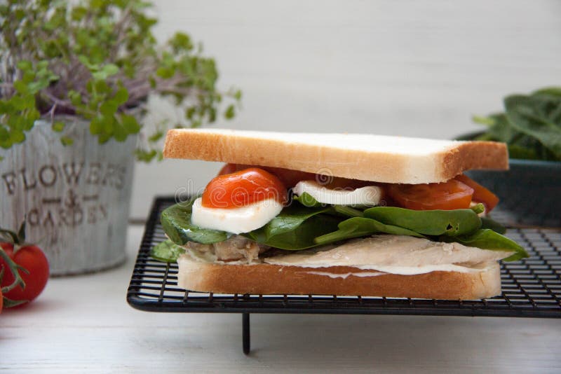 Sandwich met gebakken kip, tomaat en mozarella royalty-vrije stock afbeeldingen Sandwich met gebakken kip, tomaat en mozarella royalty-vrije stock afbeeldingen
