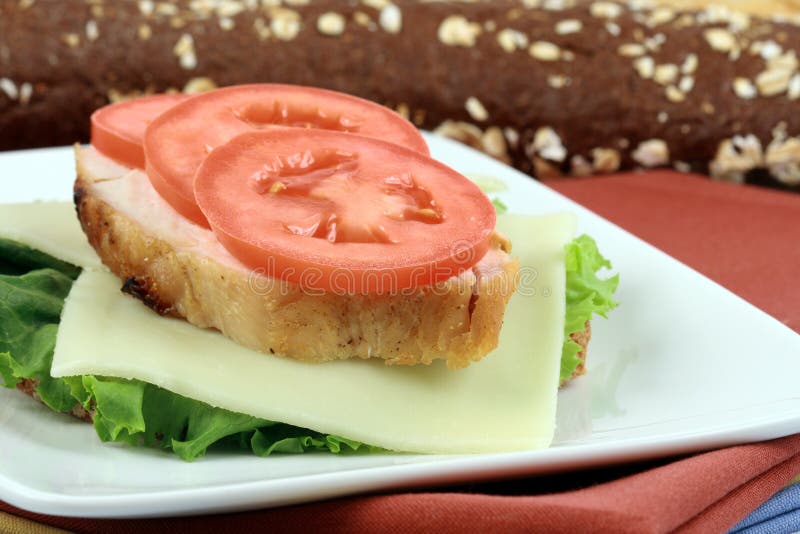 Sandwich with Oven Roasted Turkey Stock Image Image of nutrition