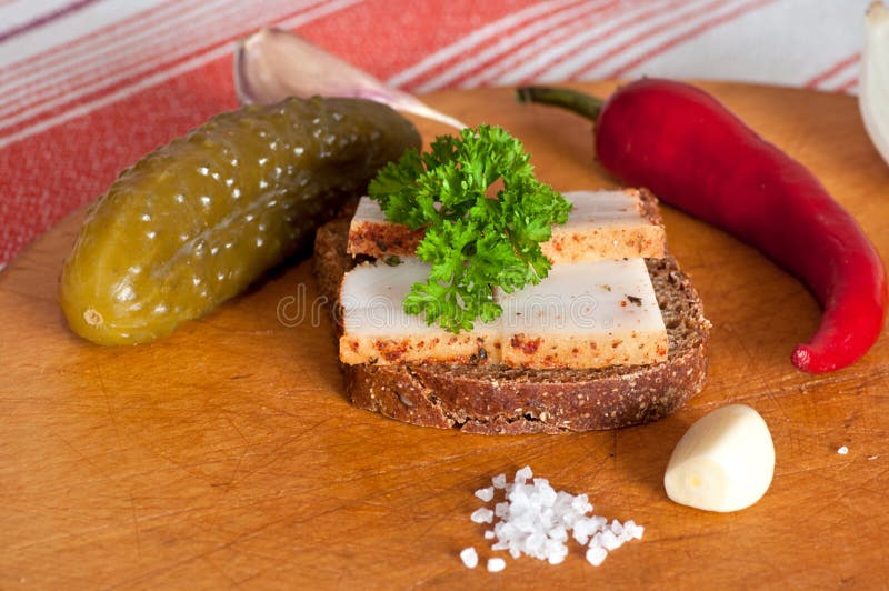 Sandwich with spiced lard stock photo. Image of calories 51178830