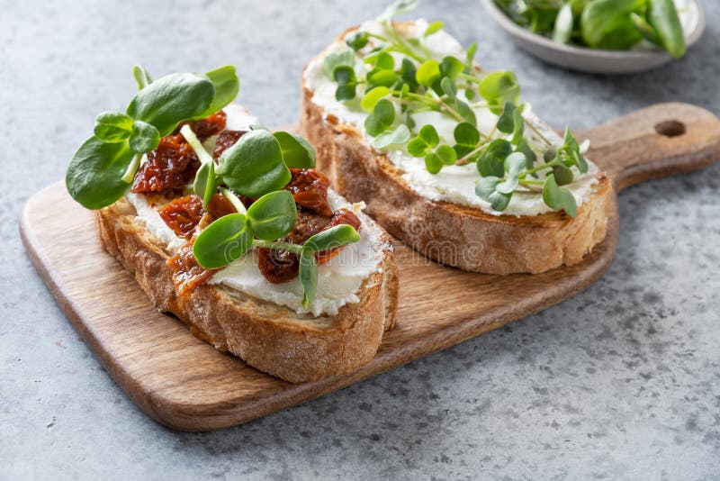 Sandwich on toast with fresh radish microgreen and cream cheese on grey background. Close up