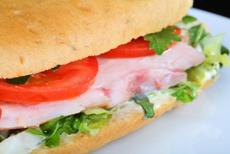Sliced Turkey Breast Sandwich Stock Image Image of food, tomato 21248475