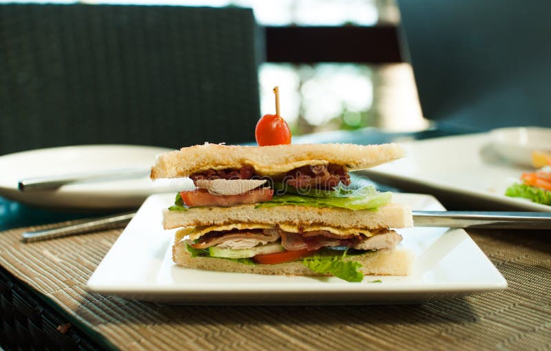 Sandwich voor bedrijfslunch stock afbeelding Sandwich voor bedrijfslunch stock afbeelding