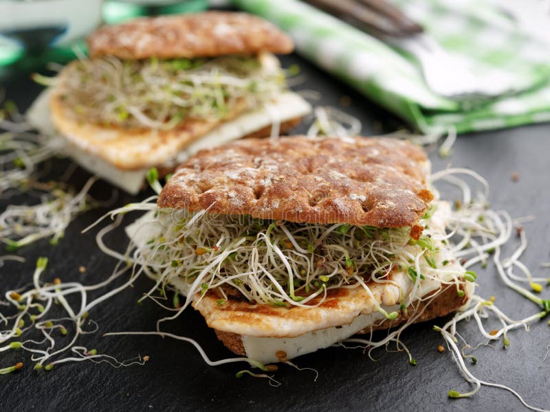 Sandwiche mit gegrilltem Truthahn, chees und Rettichsprösslingen lizenzfreie stockfotografie