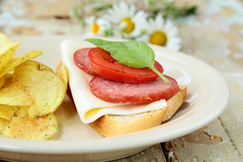 Sandwiches with Baguette and Salami with Cheese Stock Image Image of