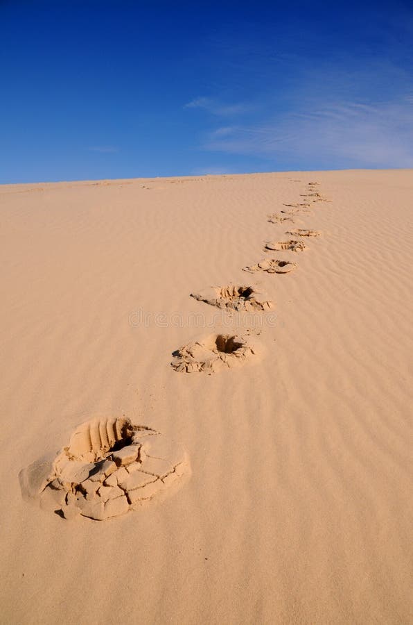 Sandy-Abdrücke lizenzfreies stockbild Sandy-Abdrücke lizenzfreies stockbild