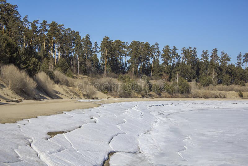 Sandy bank of a frozen river with snow against the background of dry bushes and green coniferous trees under a clear dark blue sky royalty free stock photography Sandy bank of a frozen river with snow against the background of dry bushes and green coniferous trees under a clear dark blue sky royalty free stock photography
