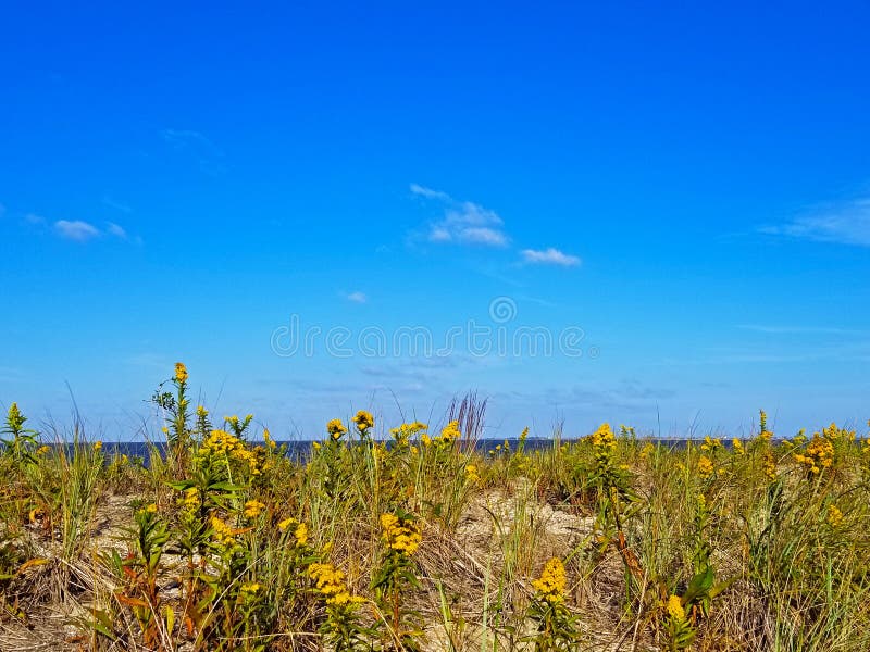 Sandy Beach at Bayshore Waterfront Park in Port Monmouth 04 Stock