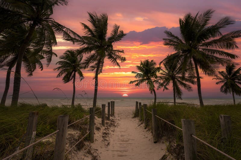 Sandy beach pathway leading towards a sunset in Key West Florida