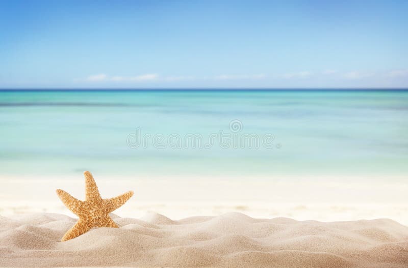 Sandy beach stock image