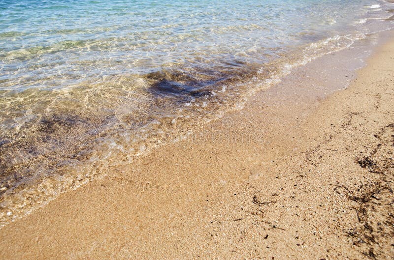 Sandy beach with surf