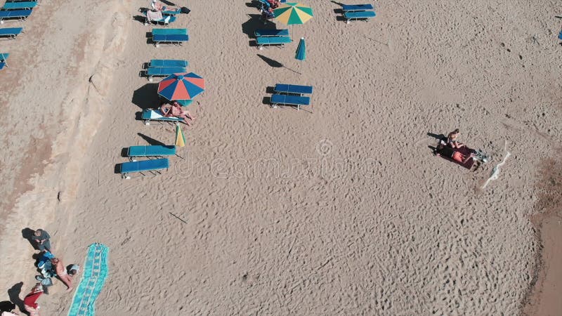 Sandy beach with umbrellas and sunbeds. Family on vacation. Girls and boys lying on beach. Drone flies across sandy beach. People