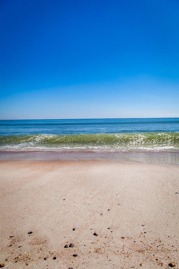 A wave forming on the shore at Amelia Island stock photography A wave forming on the shore at Amelia Island stock photography