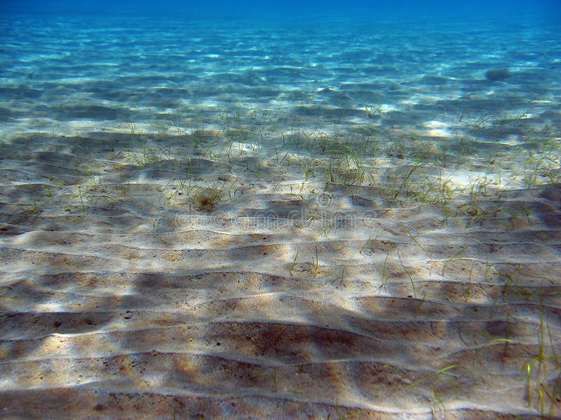Sandy bottom of the sea stock photo. Image of sand, pattern 9831410