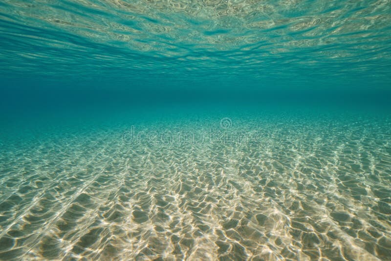 Sandy bottom and water surface underwater sea