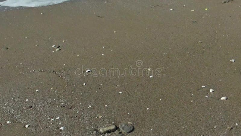 Sandy coast of the Caspian Sea.