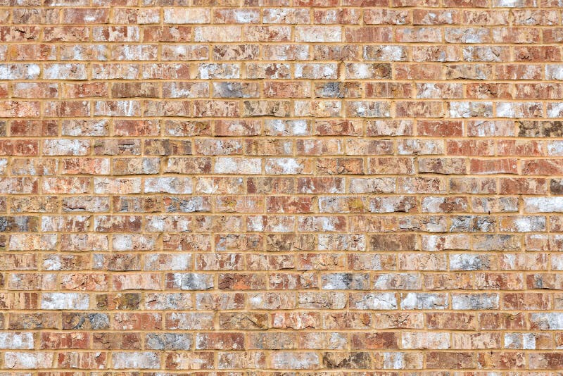 Sandy Coral Colored Brick Wall