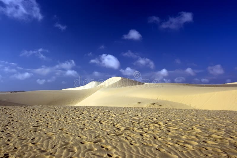 Sandy desert stock photo Sandy desert stock photo