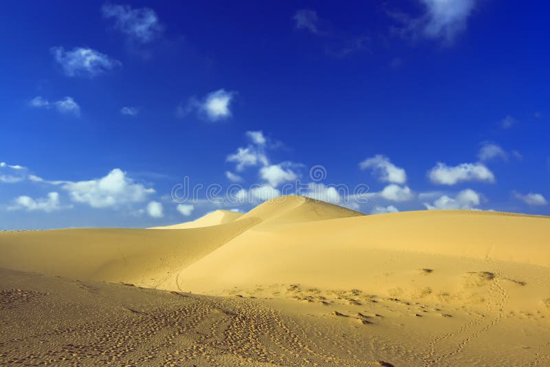 Sandy desert stock image