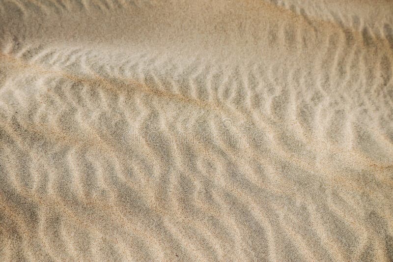 Sandy desert in Qatar, in the southern part of the country royalty free stock photo