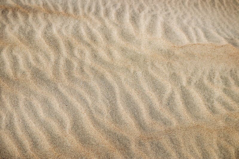 Sandy desert in Qatar, in the southern part of the country stock photos