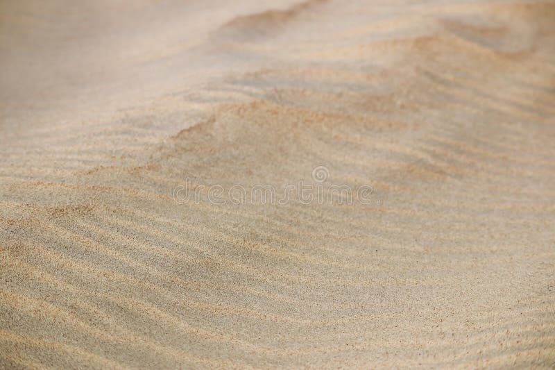 Sandy desert in Qatar, in the southern part of the country stock image