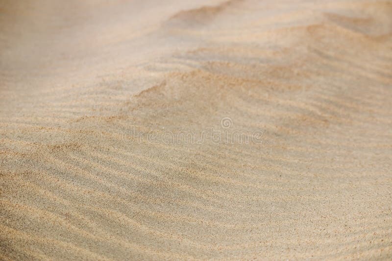 Sandy desert in Qatar, in the southern part of the country stock image