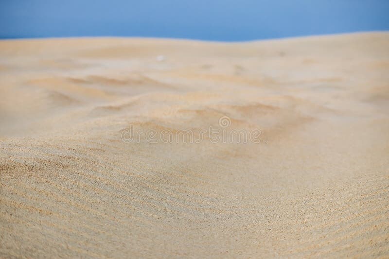 Sandy desert in Qatar, in the southern part of the country royalty free stock photo