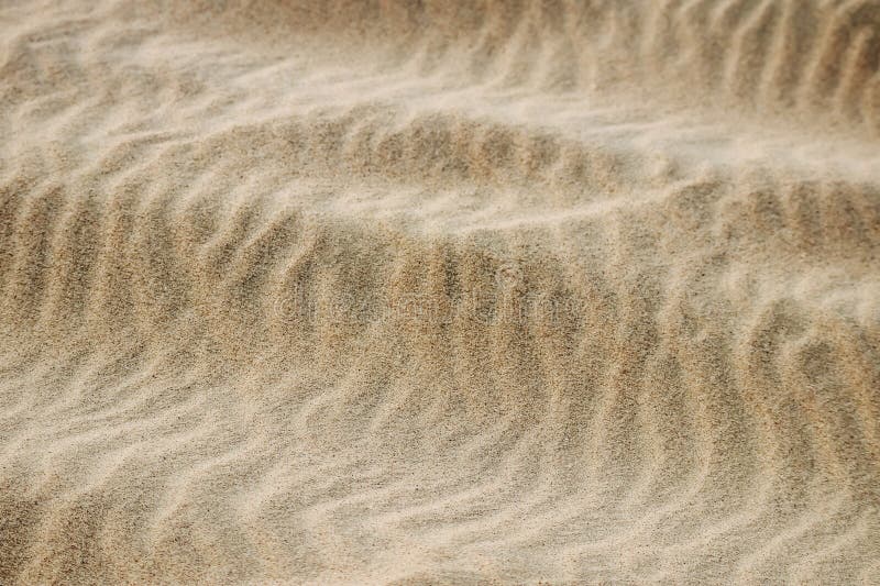 Sandy desert in Qatar, in the southern part of the country stock photos