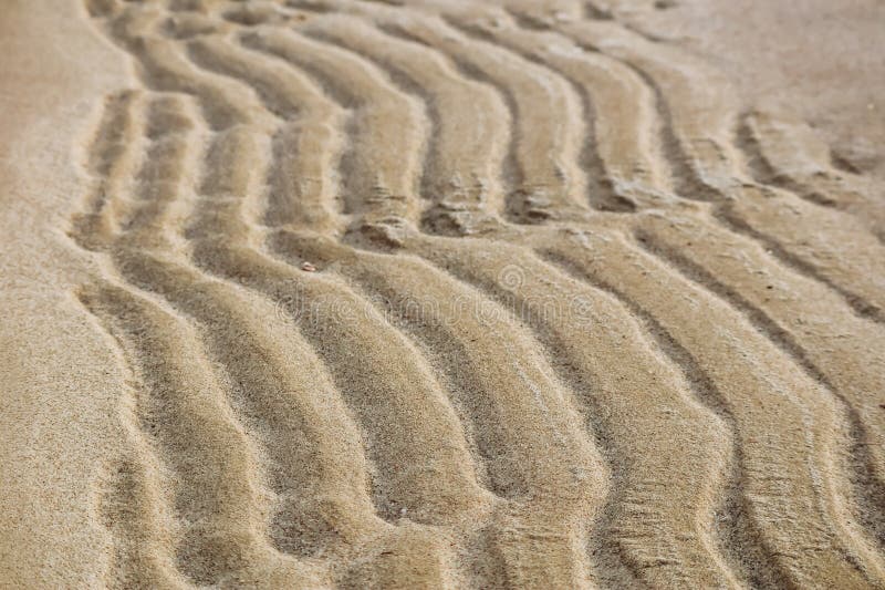 Sandy desert in Qatar, in the southern part of the country royalty free stock photo