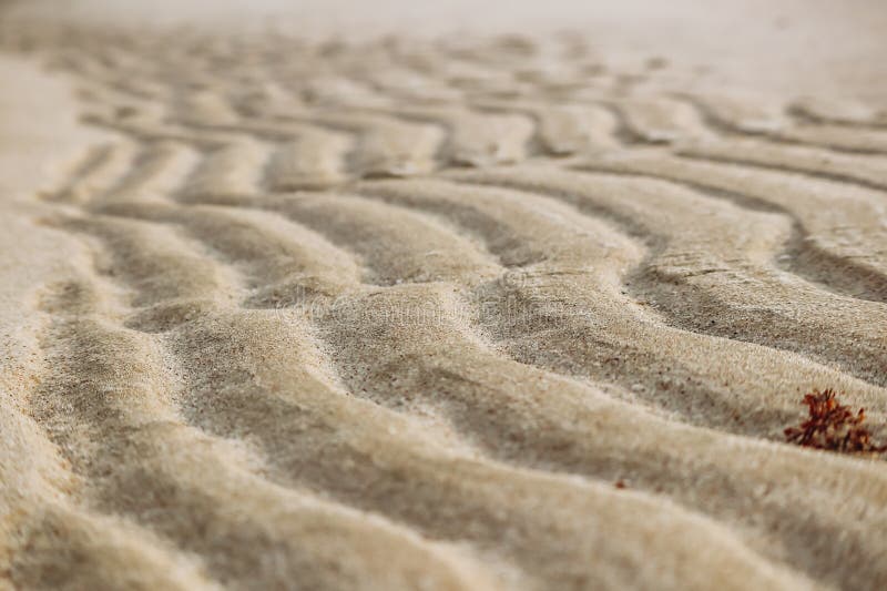 Sandy desert in Qatar, in the southern part of the country royalty free stock photo