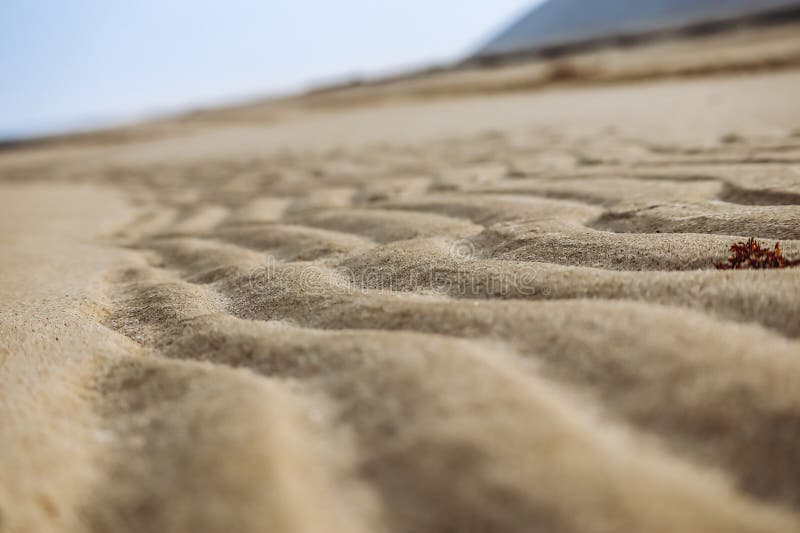 Sandy desert in Qatar, in the southern part of the country stock photo