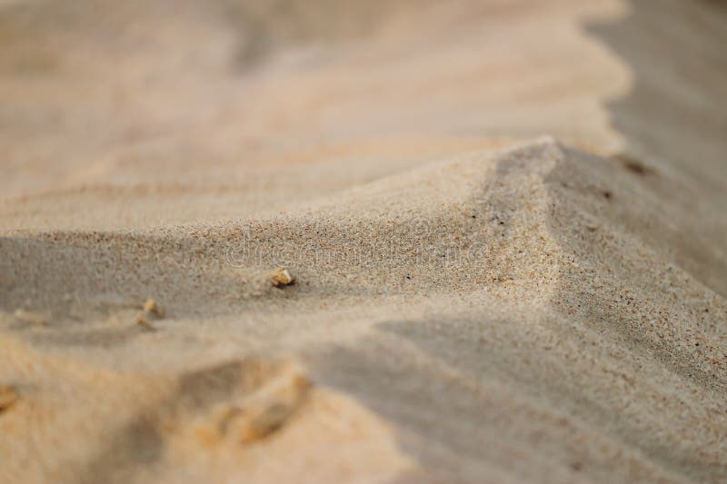 Sandy desert in Qatar, south of the country royalty free stock images