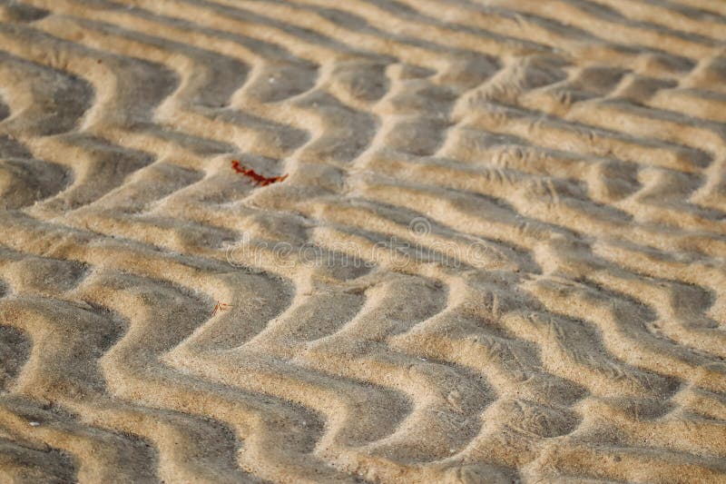 Sandy desert in Qatar, south of the country royalty free stock photography