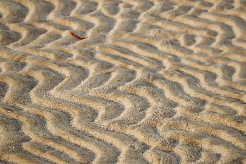 Sandy desert in Qatar, south of the country stock image