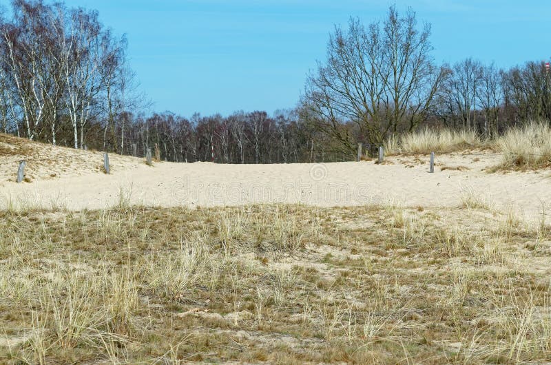 Sandy dunes and a forest in background against blue sky. Nature reserve Boberger Niederung in Hamburg, Germany royalty free stock images Sandy dunes and a forest in background against blue sky. Nature reserve Boberger Niederung in Hamburg, Germany royalty free stock images