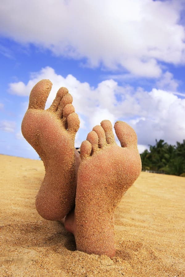 Sandy feet on a beach stock photo. Image of coast, emerald 31247370