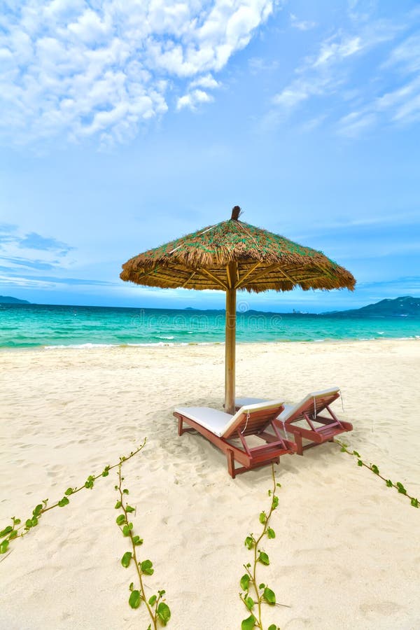 Sandy tropical beach stock image