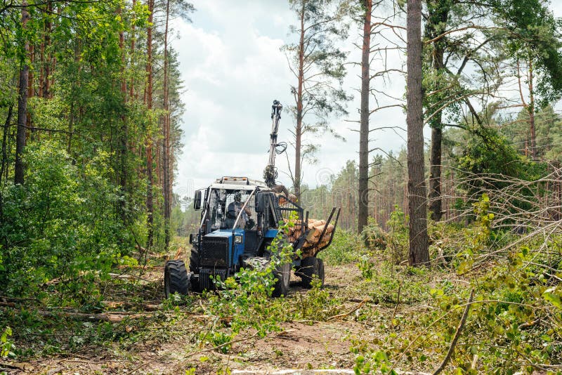 Sanitary Cleaning of the Forest Tractor Working in a Forest Stock Sanitary Cleaning of the Forest Tractor Working in a Forest Stock