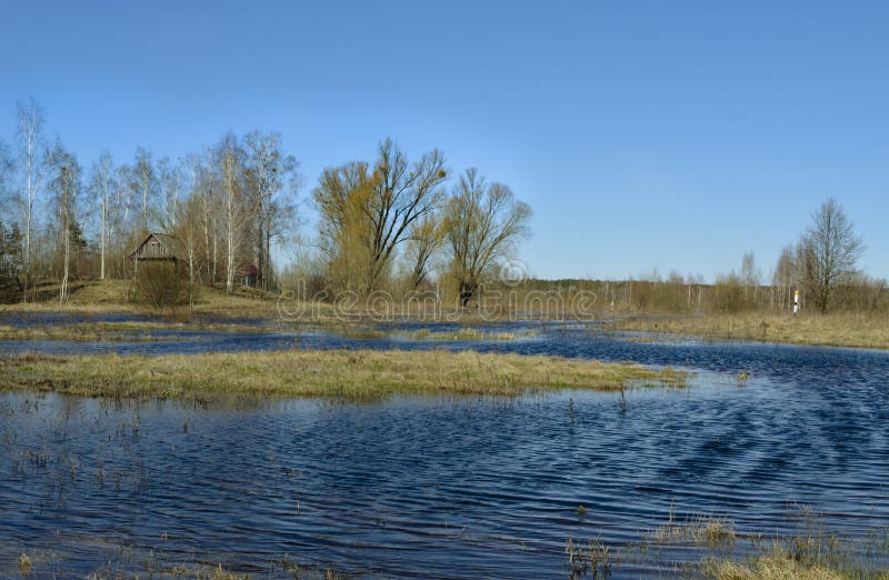 sank terräng Floden av floden Pripyat _ arkivbild sank terräng Floden av floden Pripyat _ arkivbild