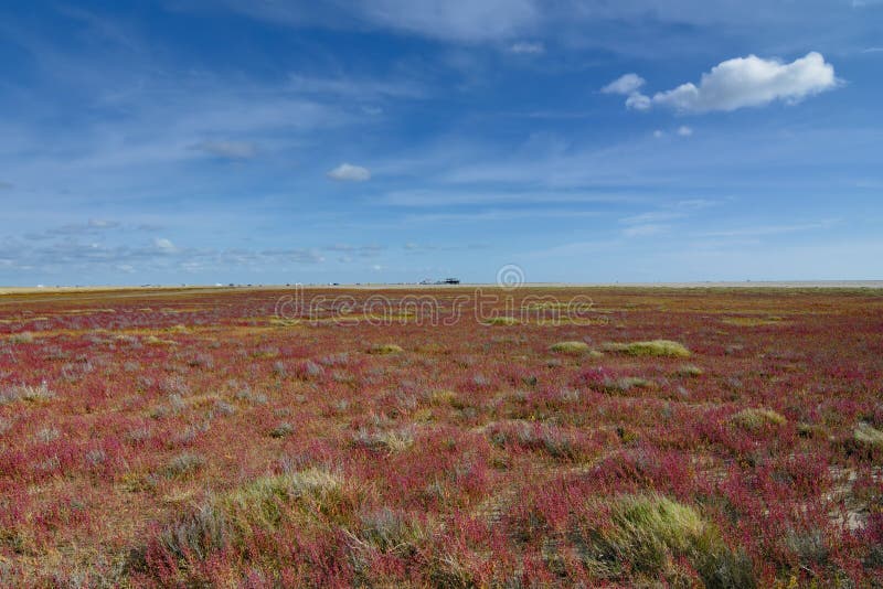 Sankt Peter-Ording,North Sea,North Frisia,Germany