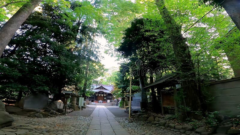 Japan Tokyo. Yoyogi Hachiman Shrine. Japan Tokyo. Yoyogi Hachiman Shrine