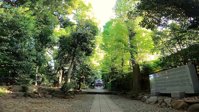 Japan Tokyo. Yoyogi Hachiman Shrine. Japan Tokyo. Yoyogi Hachiman Shrine