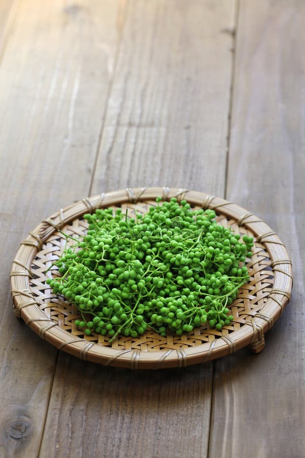 Sansho japanese pepper stock image. Image of japanese 71973837