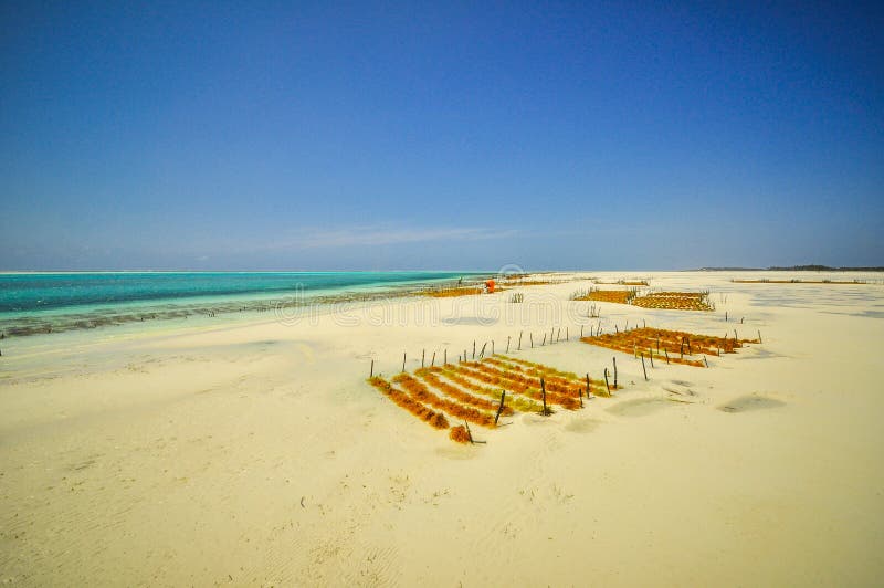 Sansibar-Strand Tansania stockfoto. Bild von geschichte - 39054446