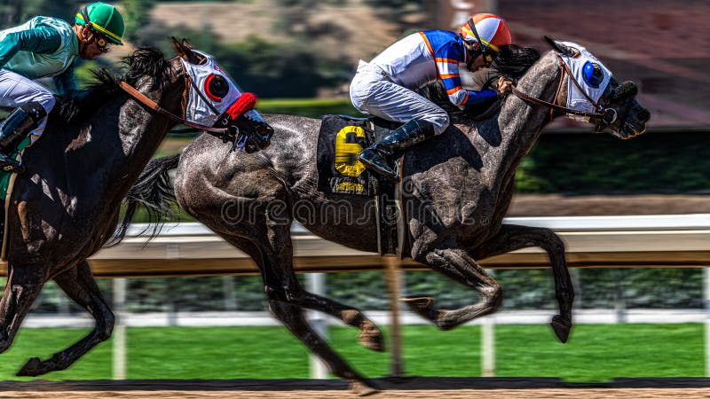 Santa Anita Park Horse Racing immagine stock Santa Anita Park Horse Racing immagine stock