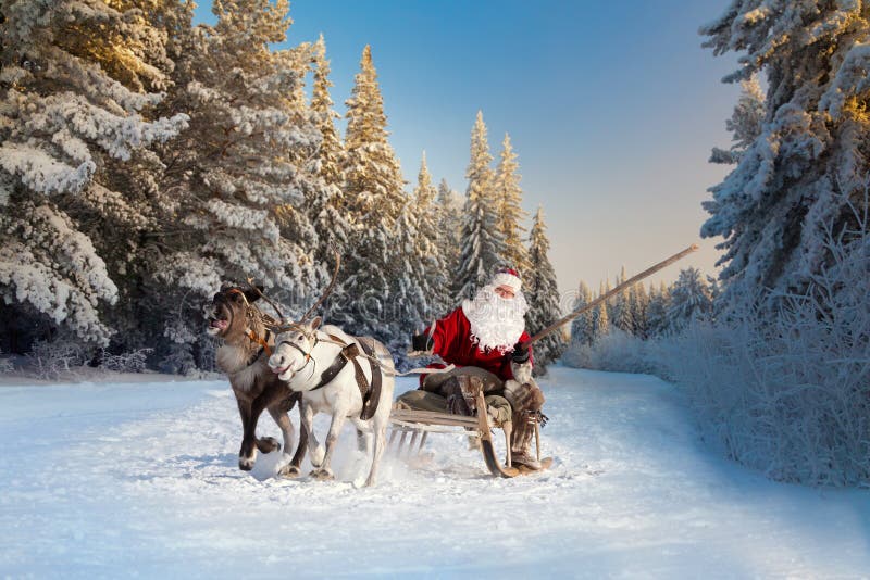 Santa Claus e la sua renna in foresta