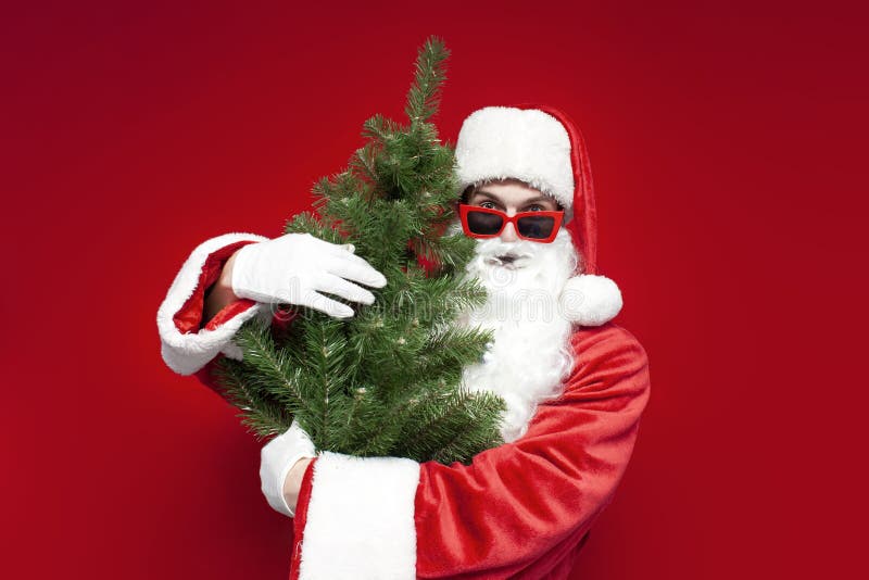 Santa claus en costume tient arbre de noël artificiel sur fond rouge l'homme porte et embrasse l'arbre traditionnel images libres de droits